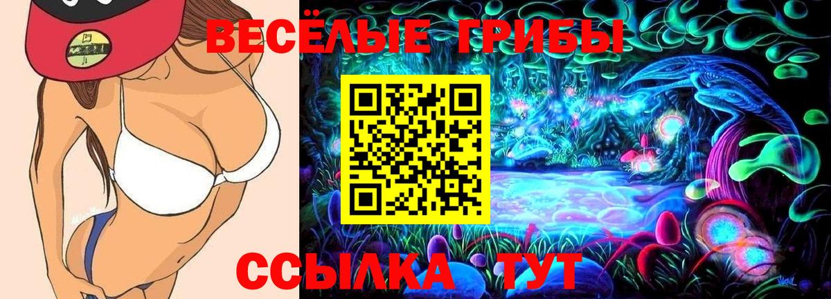 Галлюциногенные грибы GOLDEN TEACHER  Вход с VPN  Ессентуки  Галлюциногенные грибы мицелий 